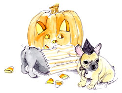 Halloween Frenchie
