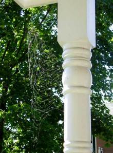 The Amazing Half-Woven Web