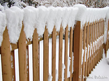 Snow-Fence1-27-11