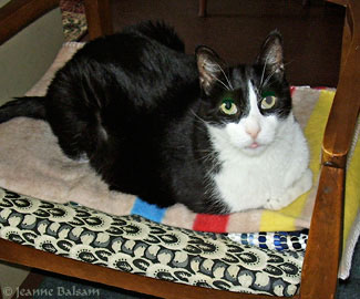 Claude-On-Sidechair3