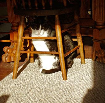 Claude-UnderDRchair2