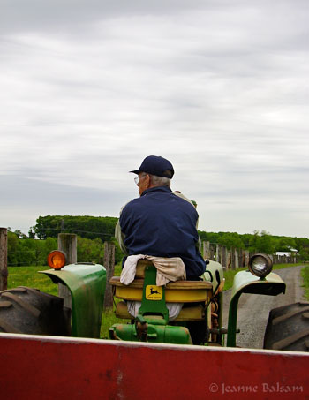 Buffalo-LanceOnTractor2