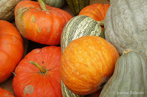 Farmstand-MoreGourds2