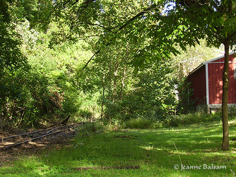 MorningWalk-RedBarn2