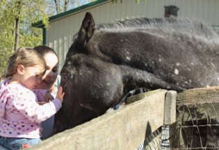 MylestoneOpenHouse-Holly