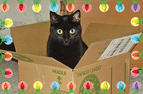 Jazzy-ChristmasLights2