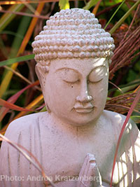 Buddha2