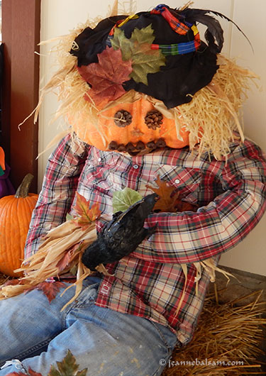 Scarecrow-PlaidShirt2