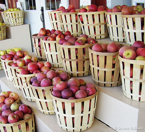 MelicksAppleBaskets2