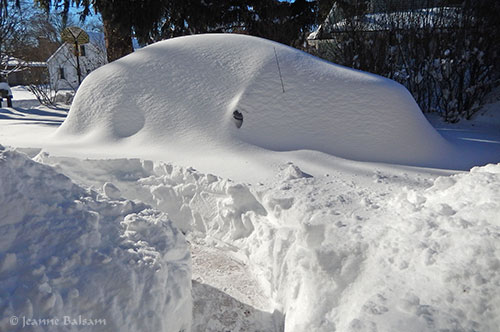 Car-SnowstormJonas2