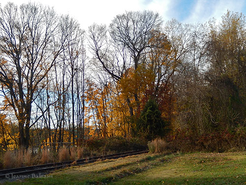 walknov5-tracksriver2