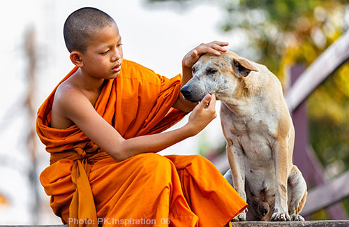 randomactkindness-novicedog2